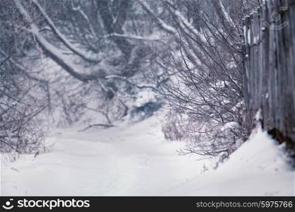 Snow and winter. Belarus village, countryside in winter