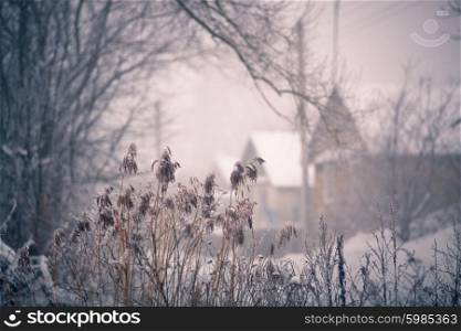 Snow and winter. Belarus village, countryside in winter