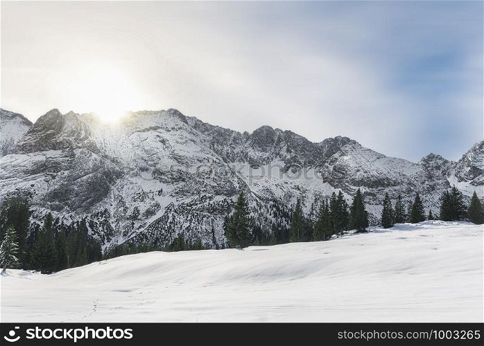Snow-capped Alps mountain peaks, sun rising, snowy trees, and snow-covered valley, near Ehrwald, Austria. Sunny winter. Alpine winter scenery.