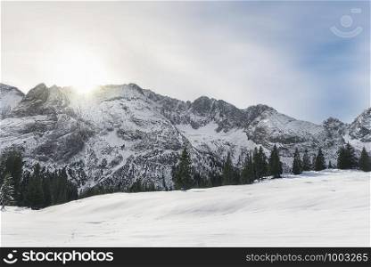 Snow-capped Alps mountain peaks, sun rising, snowy trees, and snow-covered valley, near Ehrwald, Austria. Sunny winter. Alpine winter scenery.