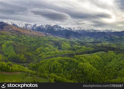 Snow-capped mountains and green forest. Colorful landscape in spring.The concept of ecotourism, travel, winter outdoor activities