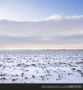 snow covered agricultural field near utrecht in the netherlands in winter under blue sky