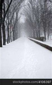 snow-covered alley of the park