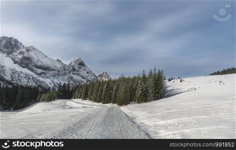 Snow-covered alpine road towards snow-capped Alps mountain peaks and snowy trees, on a sunny day of December, in Ehrwald, Austria. Winter landscape.