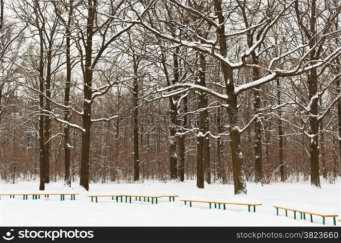 snow covered benches and trees in city park in winter