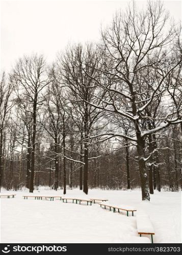 snow covered benches on glade of urban park in winter