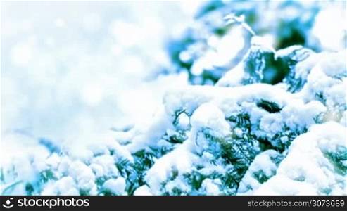 Snow-covered branch zoom out motion background