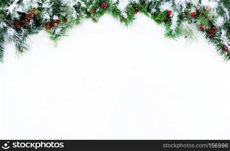Snow covered Christmas tree evergreen branches placed on top of a white background  