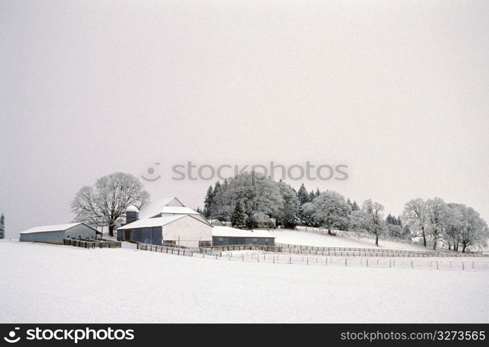 Snow covered farm, Gaston, Oregon