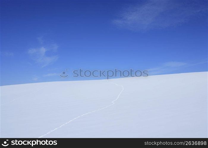 snow covered field