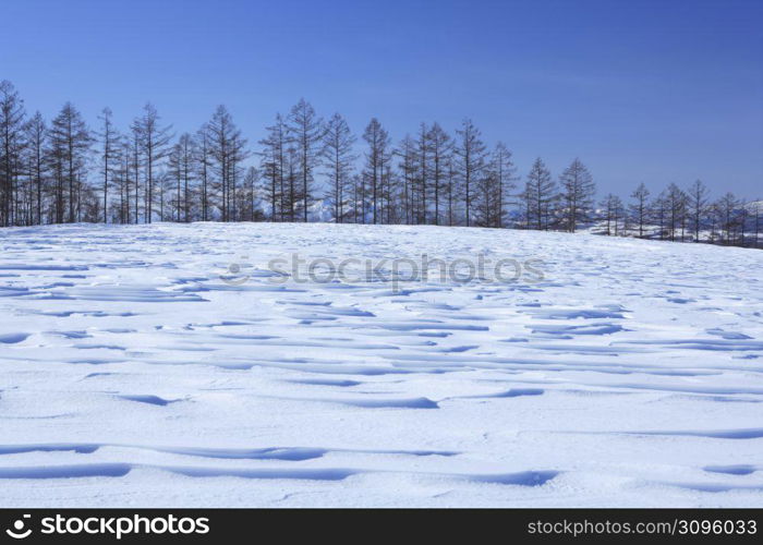 snow covered field