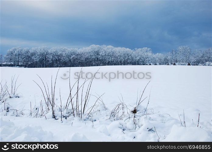 Snow covered field and forest and a dark sky in a wintry landscape