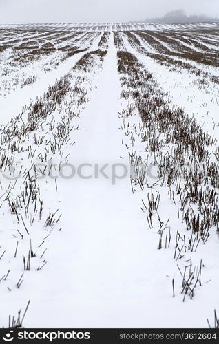 Snow covered field in Kent England.