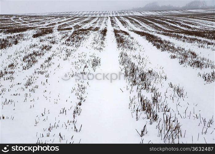 Snow covered field in Kent England.