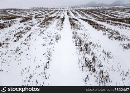 Snow covered field in Kent England.
