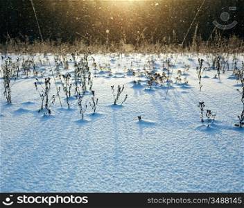 snow-covered field in the sun light photo