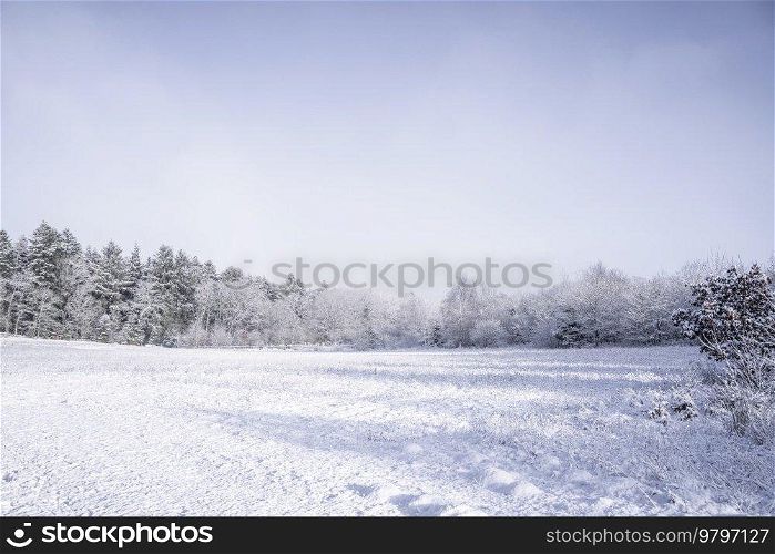 Snow covered field on a bright winter day with a blue sky above