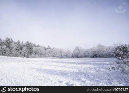 Snow covered field on a bright winter day with a blue sky above