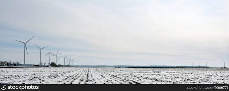 snow covered fields and farm in dutch polder of flevoland under blue sky in winter with wind turbines