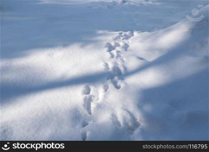 Snow-covered forest clearing with traces. Track from the tracks on the snow-covered glade