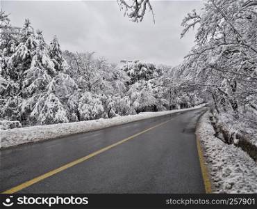 Snow-covered forest road in mountains. Seoraksan National Park. South Korea