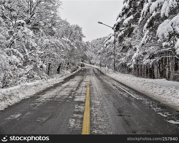 Snow-covered forest road in mountains. Seoraksan National Park. South Korea