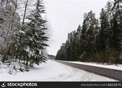 Snow-covered forest road, winter landscape