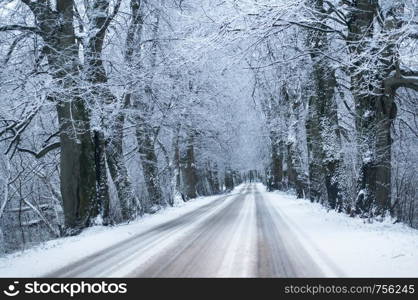 snow-covered highway, road in the forest in winter. road in the forest in winter, snow-covered highway