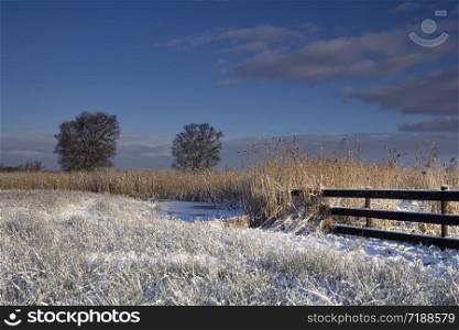 Snow covered landscape near the Dutch village Lemmer in the province Friesland. Landscape near Wijckel