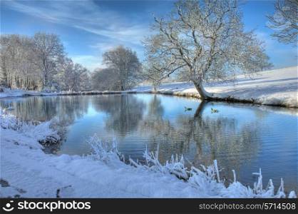 Snow covered landscape with lake and geese, Worcestershire, England.