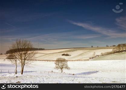 Snow covered landscape with some solitary trees near the Dutch village Eys in the province Limburg. Snow covered landscape near Eys in the province Limburg
