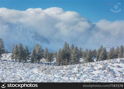 Snow covered mountains in winter season