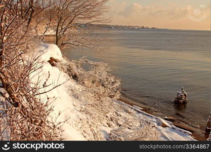 Snow covered park at early morning light.