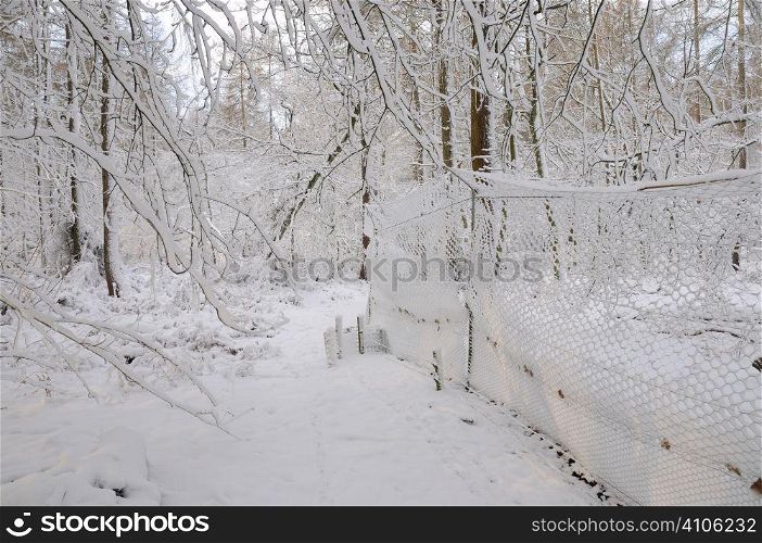 Snow covered pheasant pen