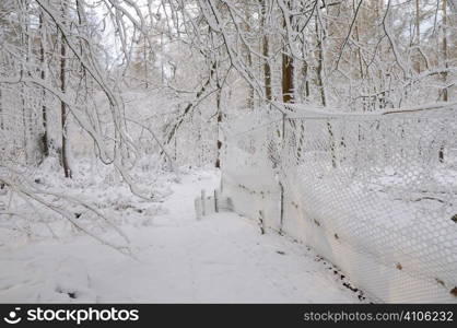 Snow covered pheasant pen