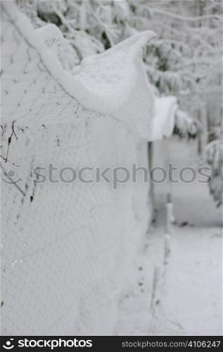Snow covered pheasant pen