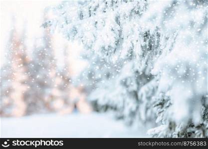 snow covered pine trees amazing winter background