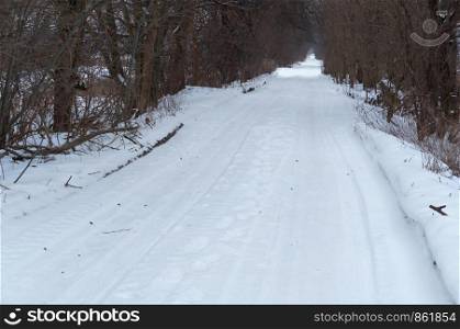 snow-covered road in the forest, forest road in winter. forest road in winter, snow-covered road in the forest