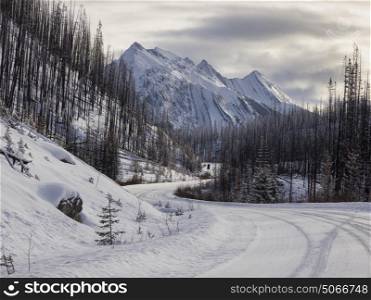 Snow covered road leading toward mountain range, Maligne Lake, Jasper, Jasper National Park, Alberta, Canada