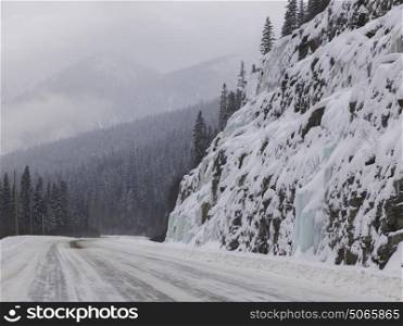 Snow covered road passing through forest, British Columbia Highway 97, British Columbia, Canada