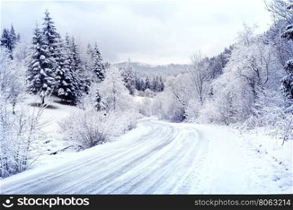 Snow-covered road winding among winter forest. Snow-covered road winding among forest