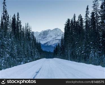 Snow covered road with mountains in winter, Emerald Lake, Yoho National Park, British Columbia, Canada