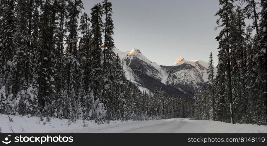 Snow covered roadway with mountain in winter, Emerald Lake, Yoho National Park, British Columbia, Canada