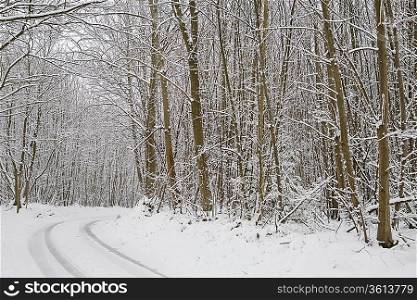 Snow covered rural scene in Kent England.