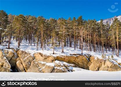 Snow covered the mountain and the pine trees at Lake Baikal Russia