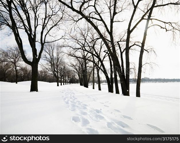Snow covered trail with footprints at park in Minneapolis, Minnesota.