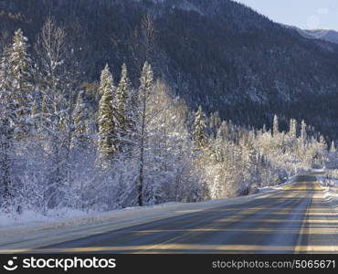 Snow covered trees along a road, Highway 16, Yellowhead Highway, British Columbia, Canada