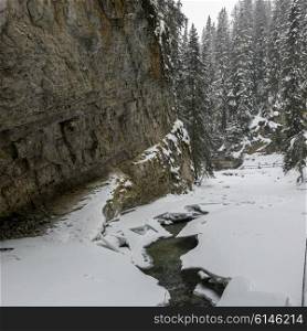 Snow covered trees and a stream in canyon, Johnston Canyon, Banff National Park, Alberta, Canada