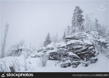 snow covered trees and rocks in winter