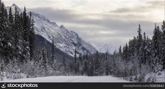 Snow covered trees with mountain in the background, Maligne Lake, Jasper, Jasper National Park, Alberta, Canada